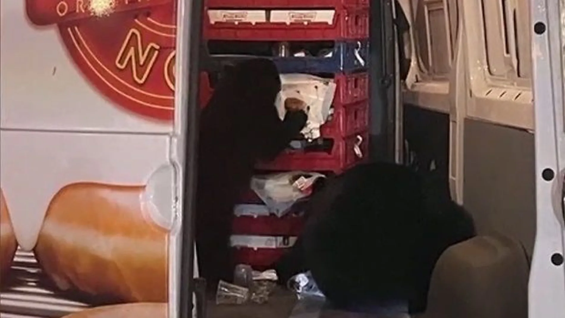 Dos osos saquean un camión y se dan un fetsín con 26 paquetes de donuts