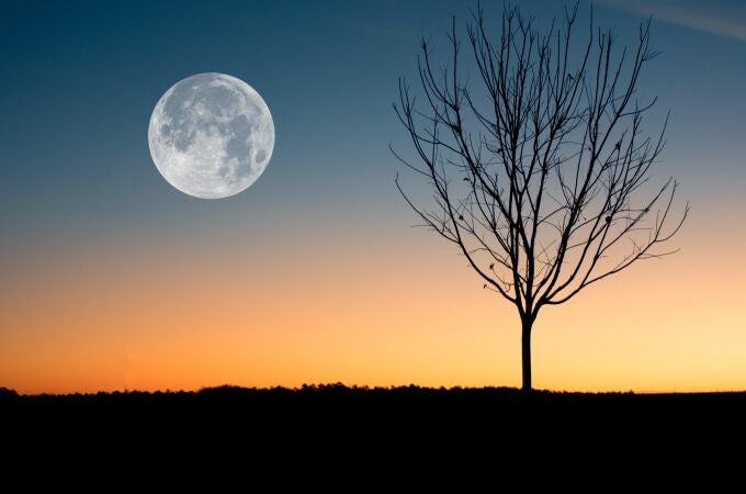 Luna llena 
