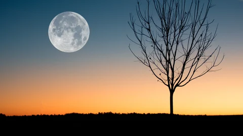 Luna llena