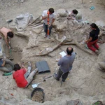 Hallan en Castellón el Garumbatitan morellensis, un nuevo dinosaurio saurópodo gigante