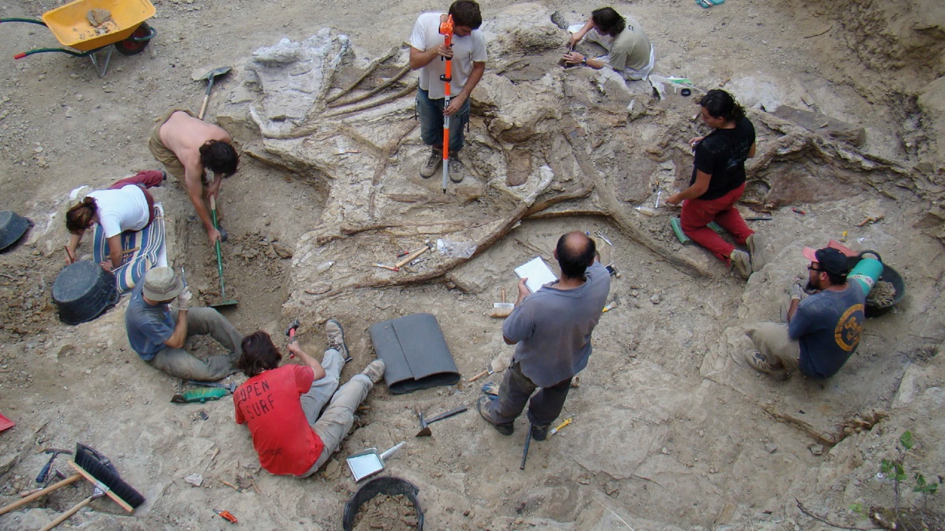 MORELLA (CASTELLÓN), 28/09/2023.- Los paleontólogos que trabajan en el Grupo de Biología Evolutiva de la UNED en excavaciones en han hallado restos de un nuevo dinosaurio gigante, el Garumbatitan morellensis, un saurópodo que habitó en el Cretácico Inferior en la comarca castellonense de Els Ports, hace 122 millones de años. EFE/UNED Garumbatitan SOLO USO EDITORIAL/SOLO DISPONIBLE PARA ILUSTRAR LA NOTICIA QUE ACOMPAÑA (CRÉDITO OBLIGATORIO) 