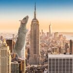 Tours de ratas: la nueva atracción turística de Nueva York