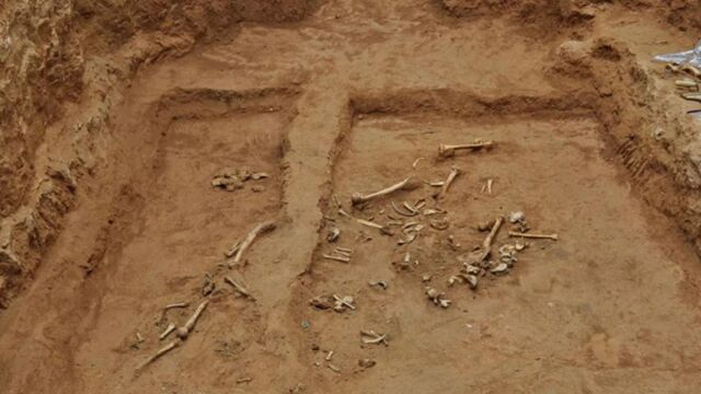 Esqueleto 4926, excavación en Reino Unido