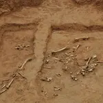 Esqueleto 4926, excavación en Reino Unido