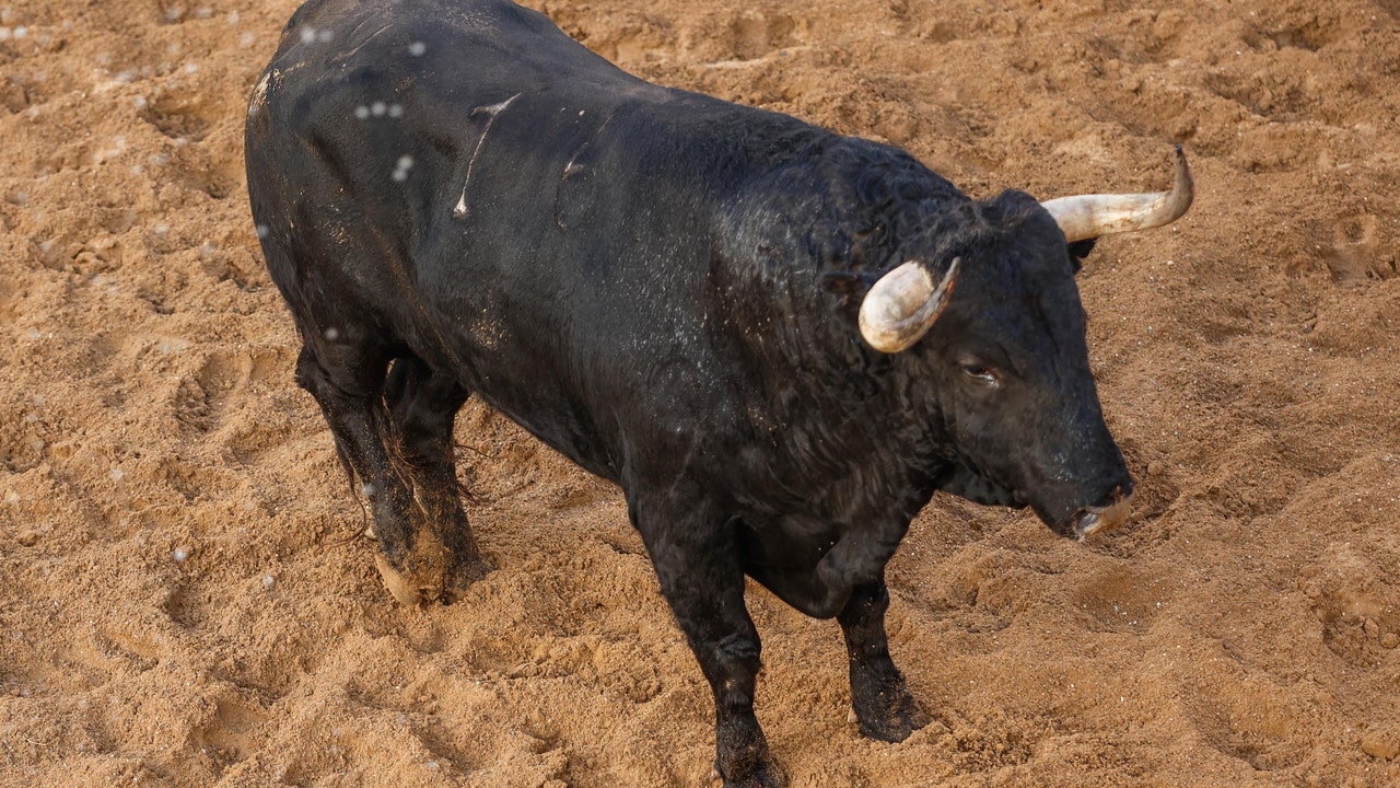 "Saleroso", the last bull in the brilliant career of El Juli