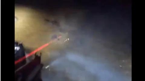 Un momento del vídeo que recoge la caza de los cerdos