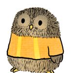 Todos los pajaritos de la imagen tienen un jersey puesto, pero casi todos ellos tienen un diseño que está repetido