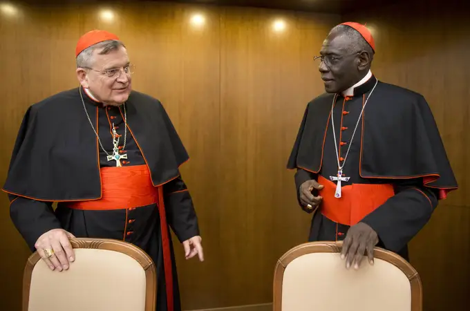 Los seis cardenales «haters» del Papa, al descubierto 