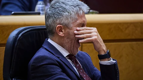El ministro del Interior, Fernando Grande-Marlaska