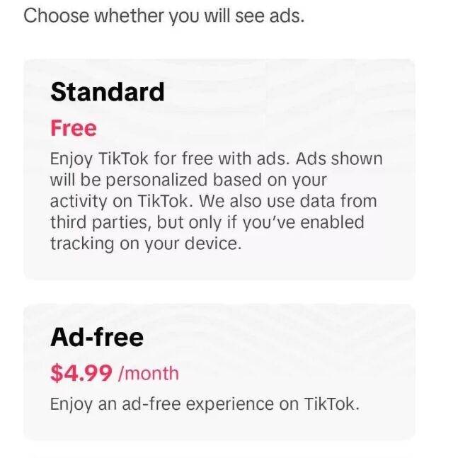 Así serían las nuevas opciones de TikTok