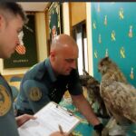 Agentes de la Guardia Civil, junto a un ave recuperada