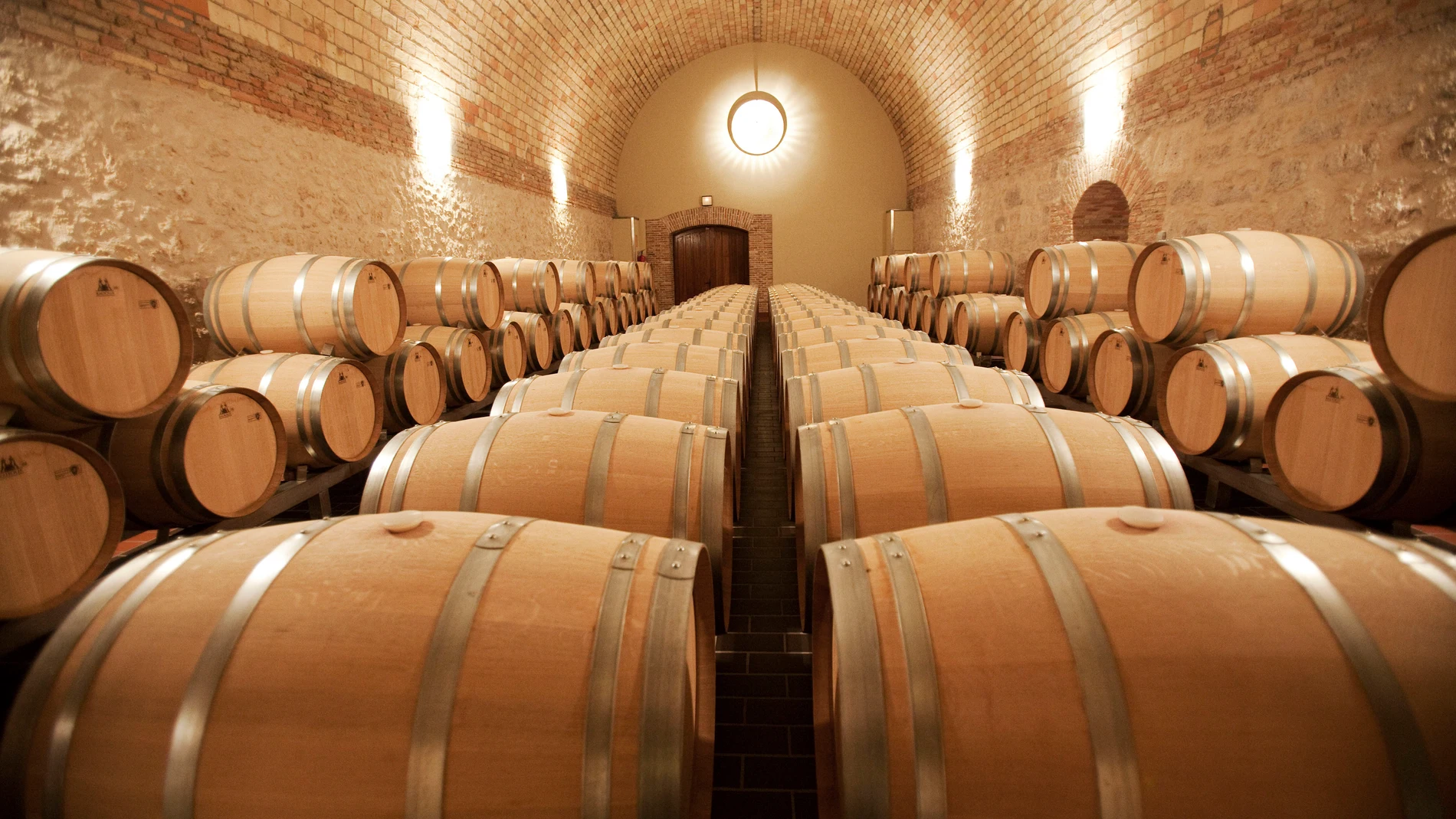 Sala de barricas de una bodega