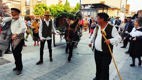 Desfile de la Vendimia de Peñafiel