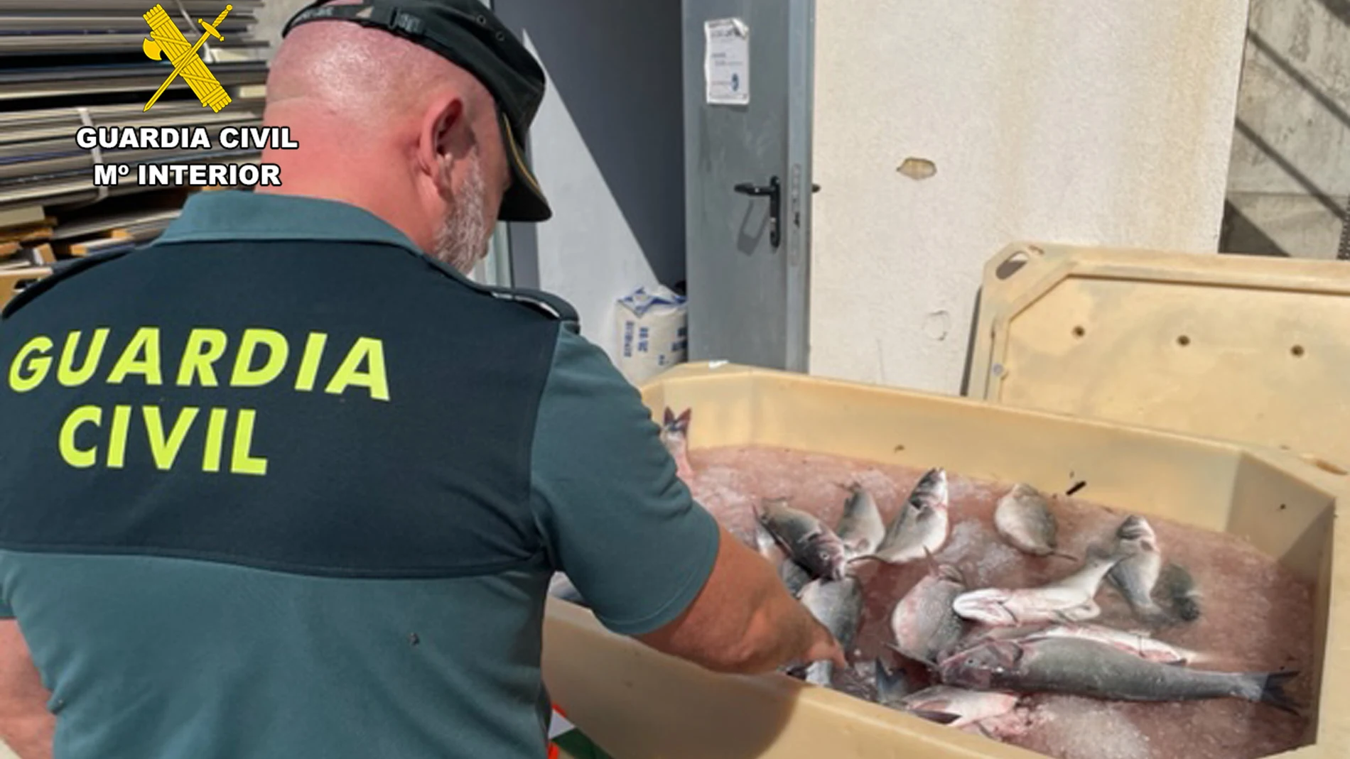 Se ha evitado la introducción en el mercado de gran cantidad de pescado capturado ilícitamente y transportado sin las debidas garantías para su consumo