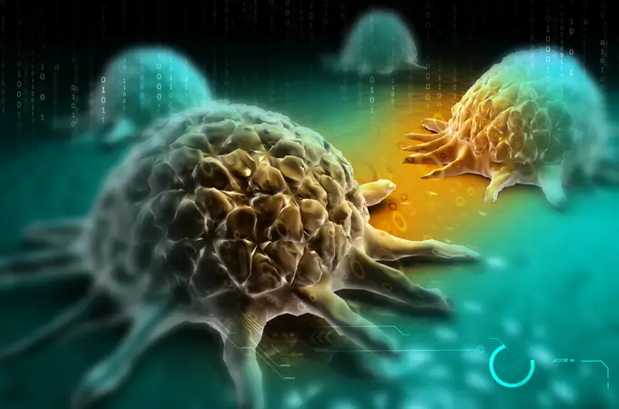 Crean células T cien veces más potentes en la lucha contra el cáncer
