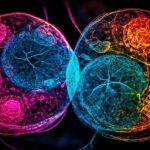 La genial idea para que nuestras células maten el cáncer: usar bacterias que pinten dianas en los tumores