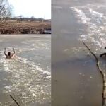 El asombroso rescate de un hombre a un perro atrapado en el hielo