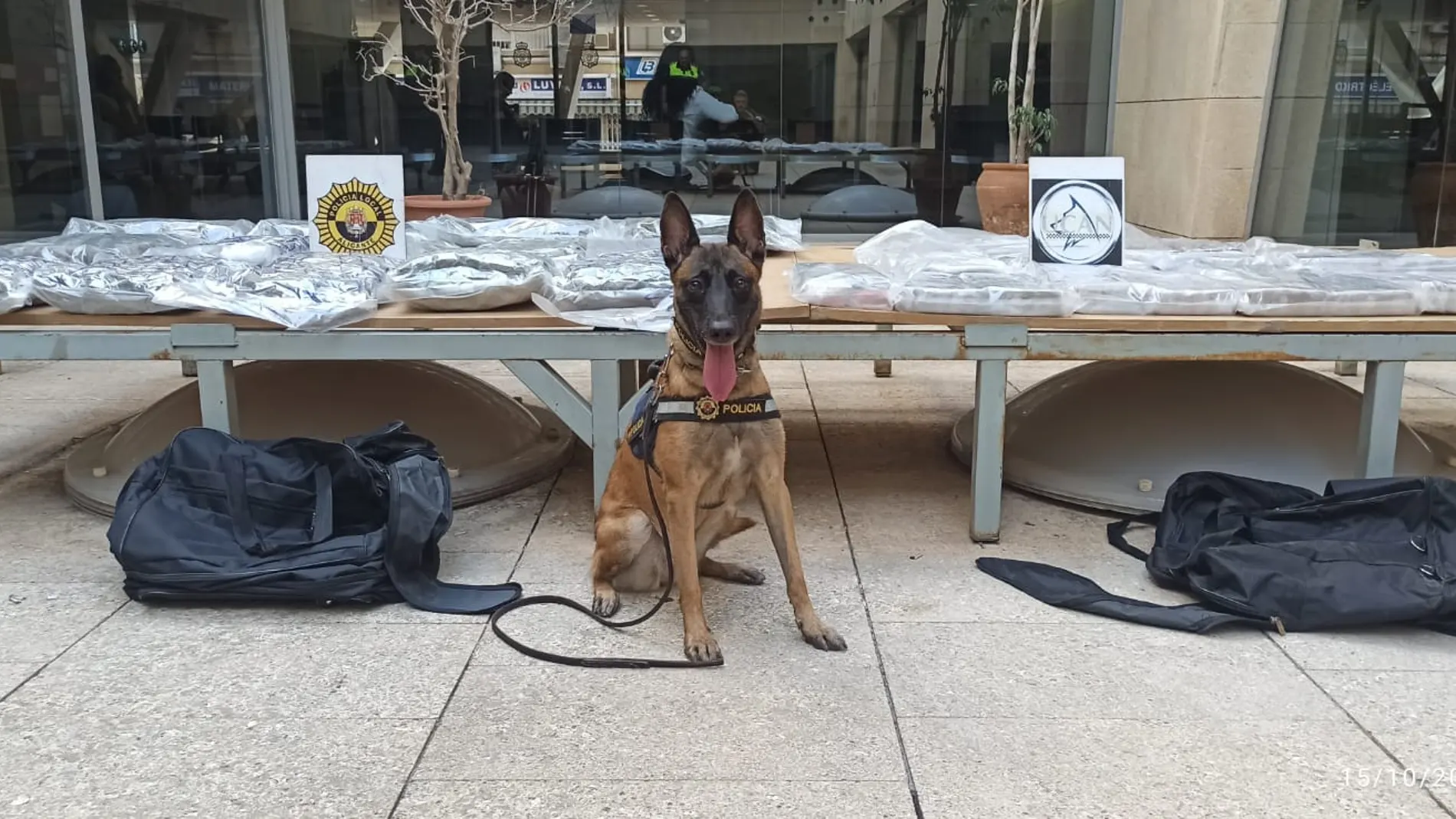 Para la detención ha sido fundamental la labor de Kata, uno de los perros de la Unidad Canina de la Policía local
