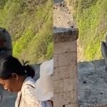 La curiosa escena entre el mono y la señora