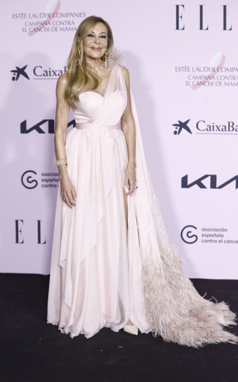 Ana Obregón en el Teatro Real de Madrid durante la gala benéfica Elle Cancer Ball 