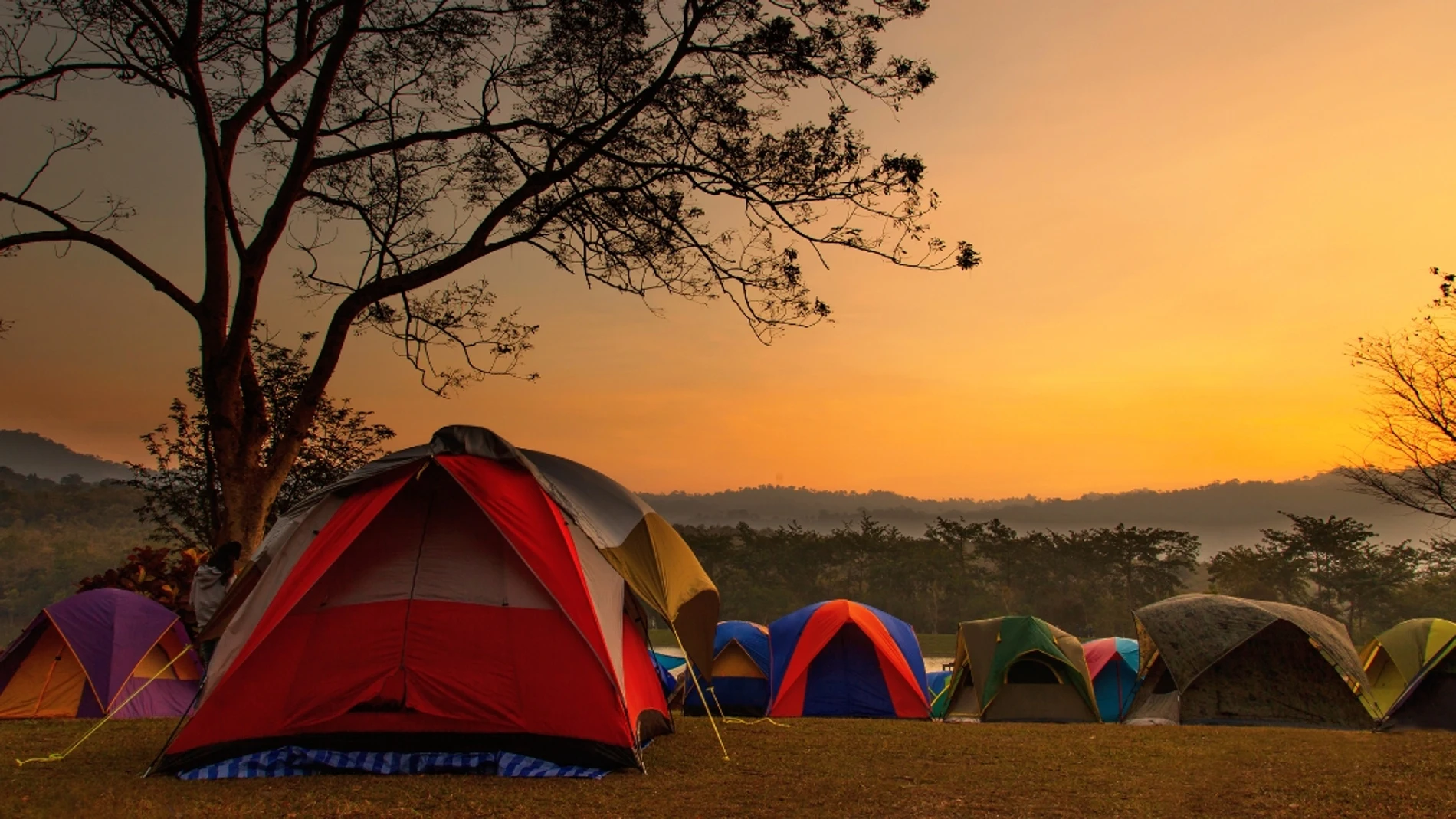 Tiendas de campaña en un camping