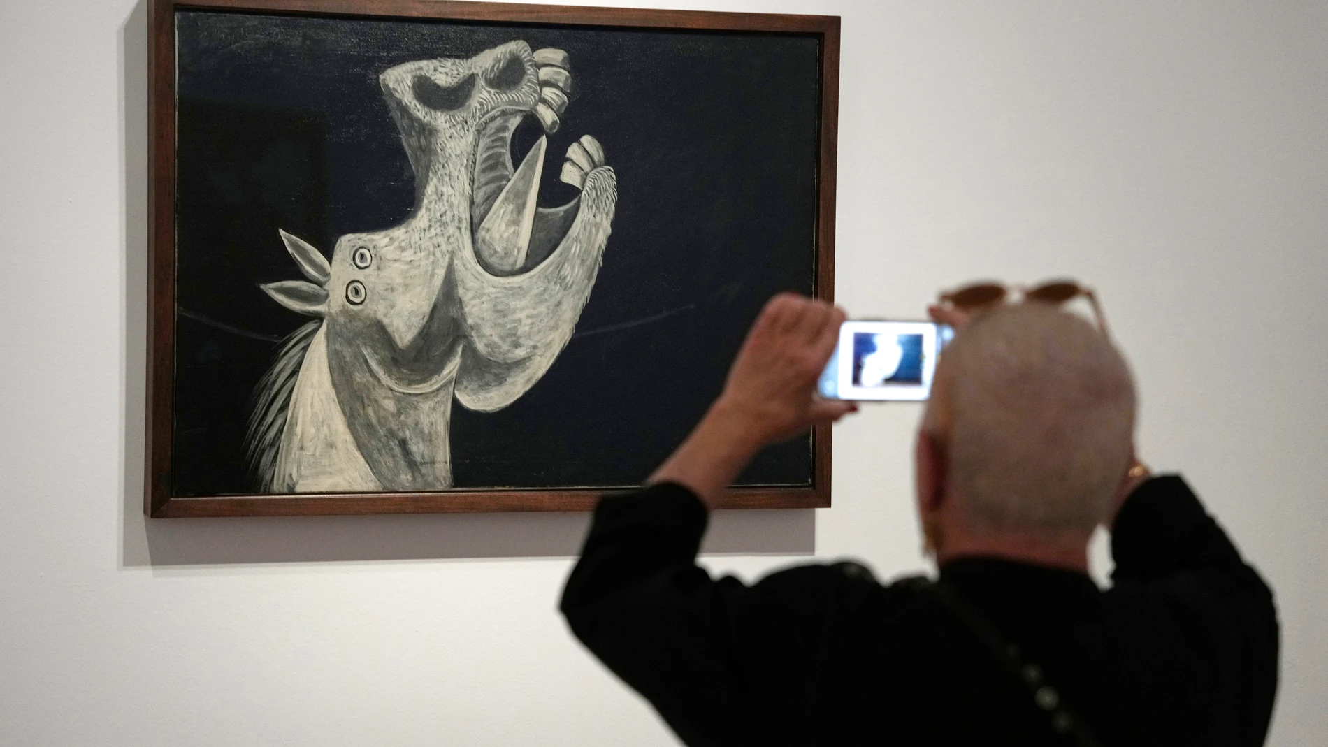 GRAFCAT5279. BARCELONA, 19/10/2023.- Un hombre fotografía la obra "Cabeza de caballo", de Pablo Picasso, una de las 250 obras, procedentes de las principales colecciones públicas y privadas de todo el mundo, que forman parte de la exposición "Miró-Picasso", una muestra única que celebra la relación de amistad y complicidad entre ambos, coincidiendo con el cincuenta aniversario de la muerte de Picasso y el cuarenta de la de Miró, y que podrá verse entre el 20 de octubre y el 25 de febrero de 2...