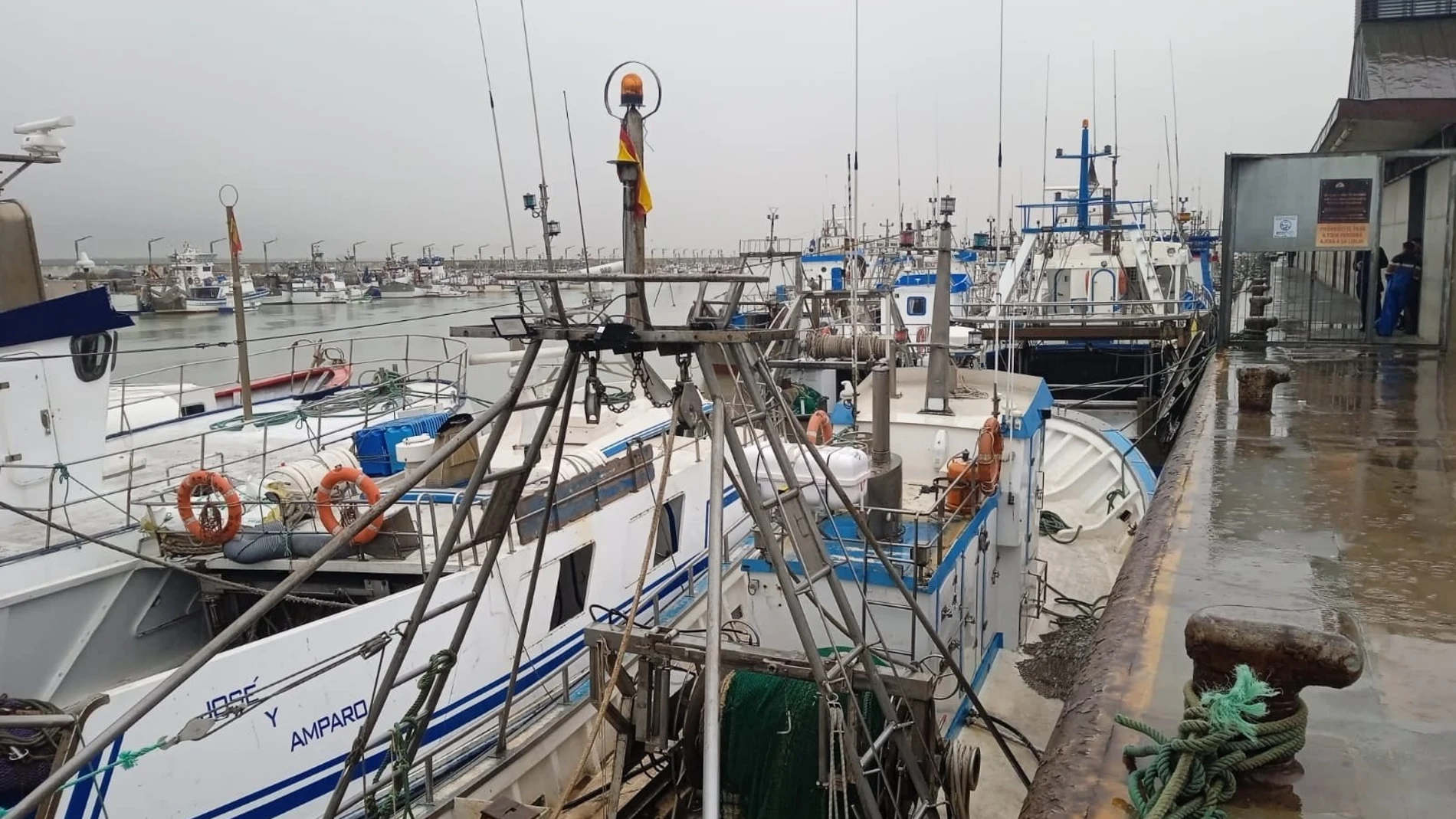 Barcos pesqueros de Sanlúcar amarrados al puerto en una foto de archivoCOFRADÍA DE PESCADORES SANLUCAR19/10/2023