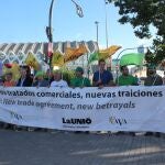 Organizaciones agrarias alertan del "perjuicio" de los acuerdos con Mercosur: "Nos van a sacar los ojos en cítricos"
