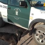 Confirman que el cuerpo sin vida hallado en La Cierva (Cuenca) es el del cazador desaparecido