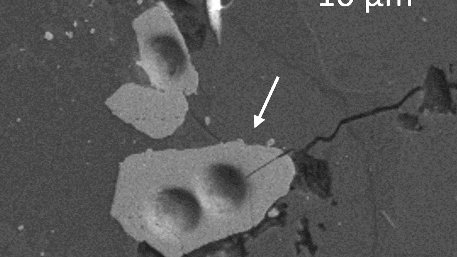 Cristales lunares, concretamente circones bajo el microscopio 