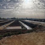 Salinas Santa Teresa, en Chiclana, ha recuperado su pulso tras casi tres décadas de abandono