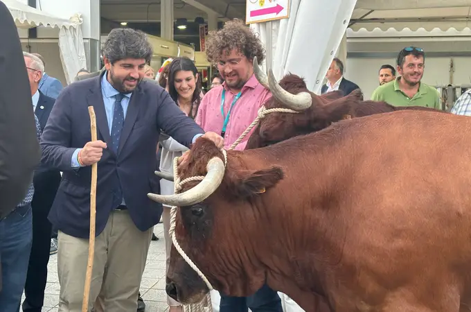 López Miras anuncia un anticipo de 3,5 millones en ayudas a la PAC a los ganaderos murcianos