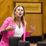 La consejera de Economía, Carolina España
