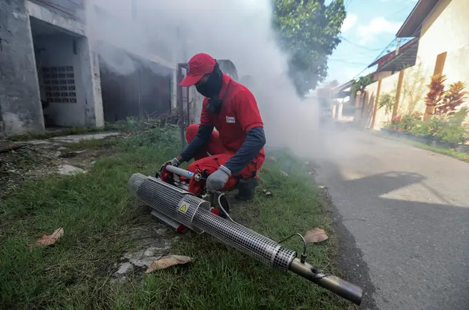 Tailandia en alerta por el incremento de casos de dengue