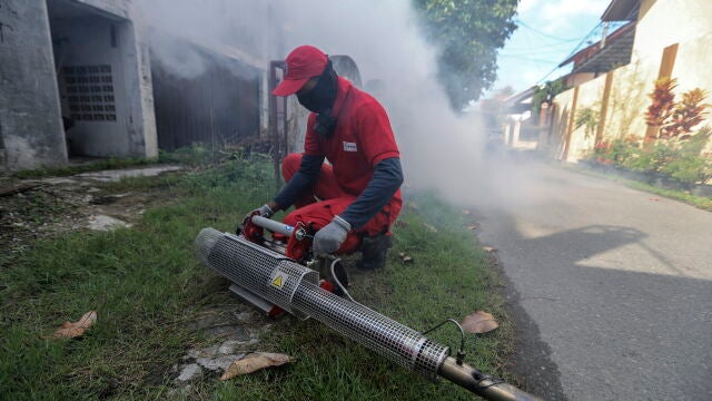 Un trabajador utiliza antinarcóticos para controlar la fiebre del dengue en Banda Aceh (Indonesia) el pasado 30 de octubre