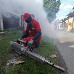Un trabajador utiliza antinarcóticos para controlar la fiebre del dengue en Banda Aceh (Indonesia) el pasado 30 de octubre