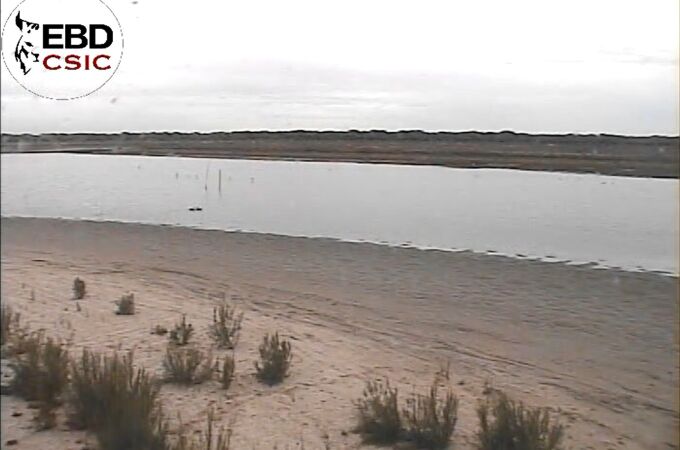 Imagen de hoy mismo de la laguna de Santa Olalla, en Doñana, seca en agosto