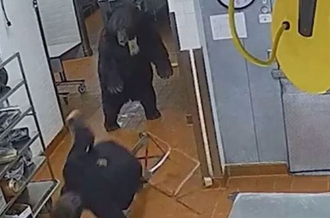 Oso salvaje irrumpe en un hotel de lujo en Colorado y ataca a un guardia de seguridad