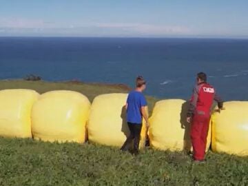 Los prados de Alfoz de Lloredo se pintarán de amarillo en apoyo a los ganaderos y a la lucha contra el cáncer