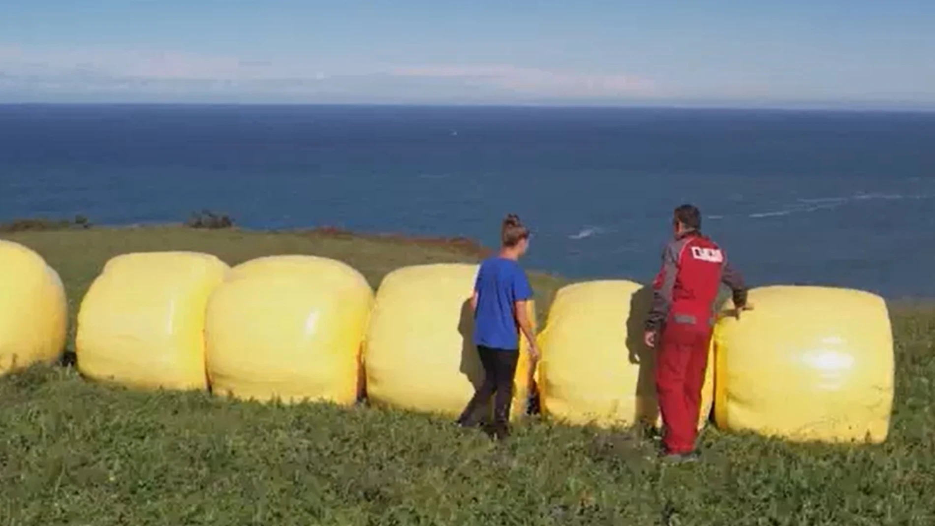 "Limones" gigantes de plástico en Cantabria por una causa solidaria