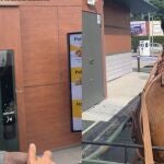 Joven pide comida en un autoservicio con su caballo