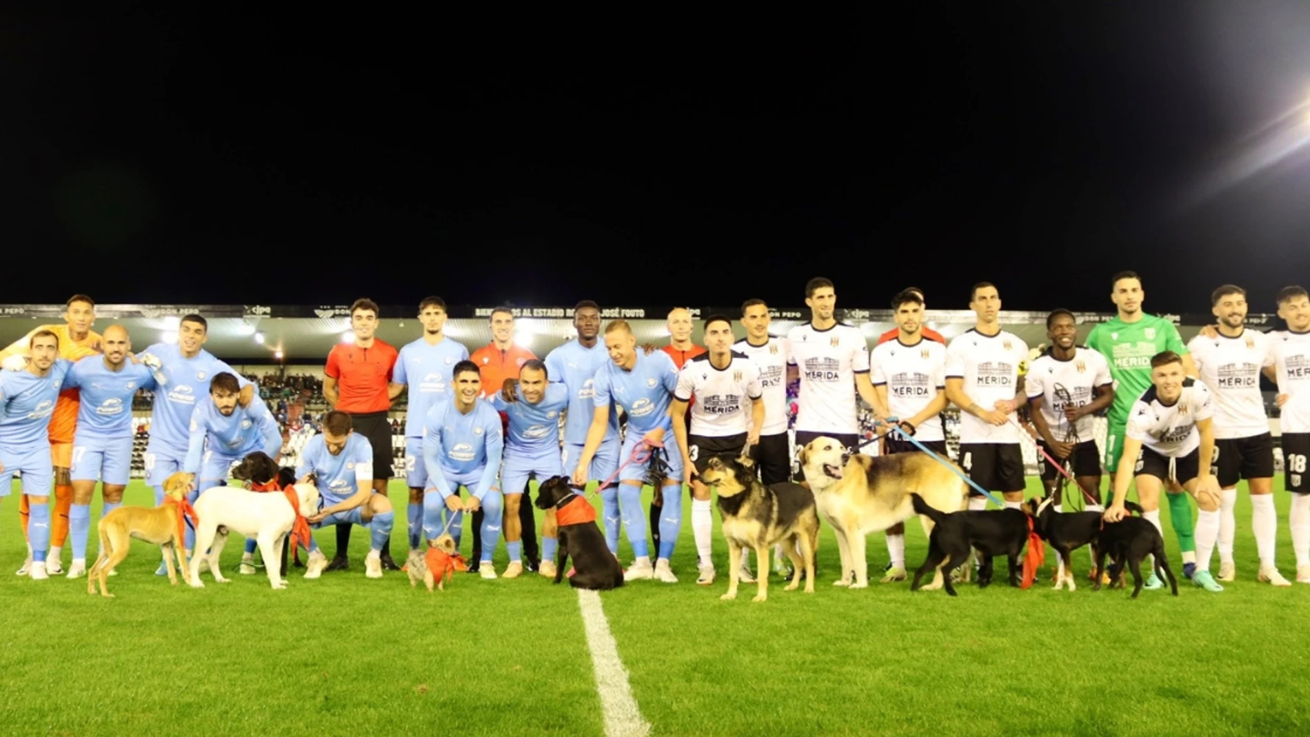 Jugadores del AD Mérida y del UD Ibiza saltan al campo con perros en situación de adopción 