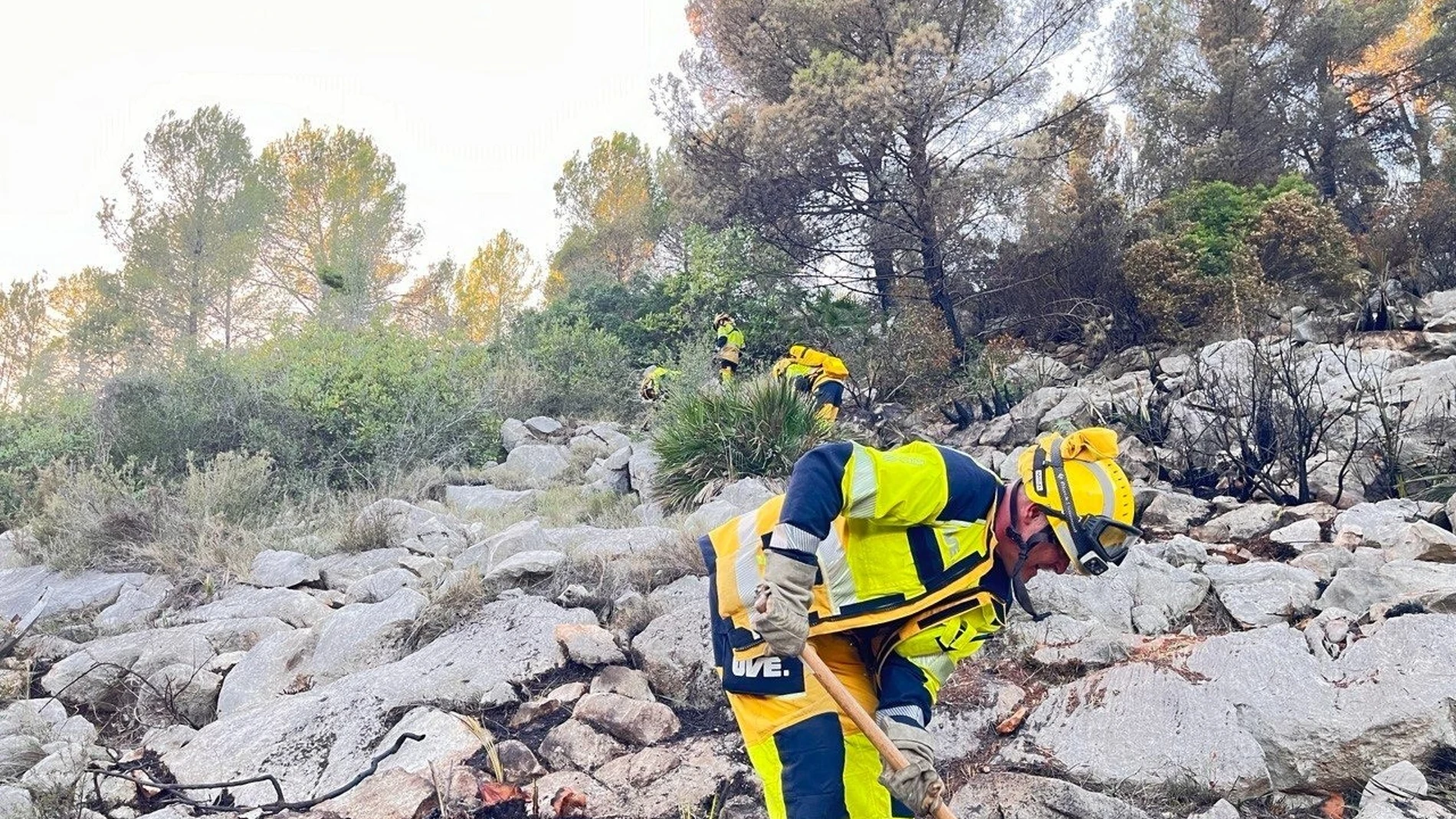 Bomberos forestales trabajan en la zona del incendio 112 06/11/2023