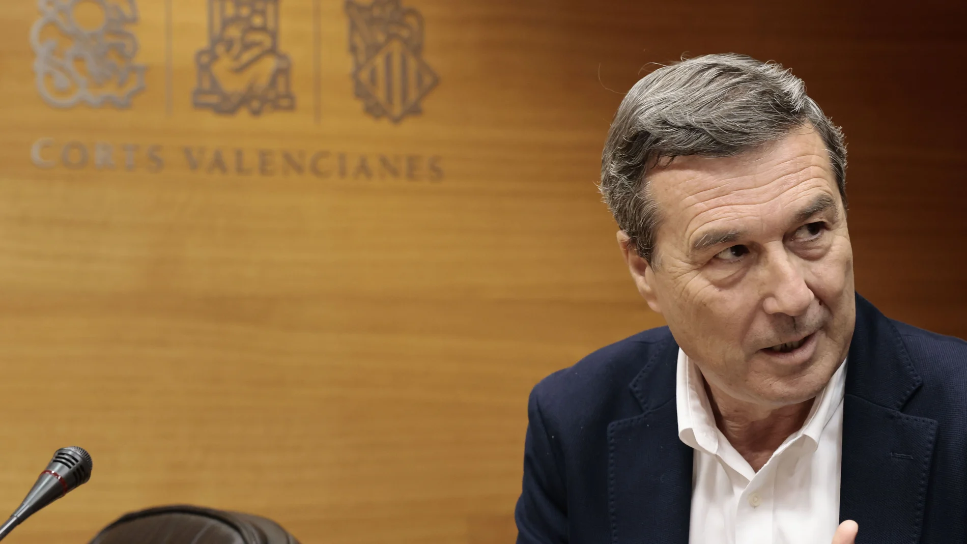 El conseller de Sanidad, Marciano Gómez, ayer durante su comparecencia en Les Corts