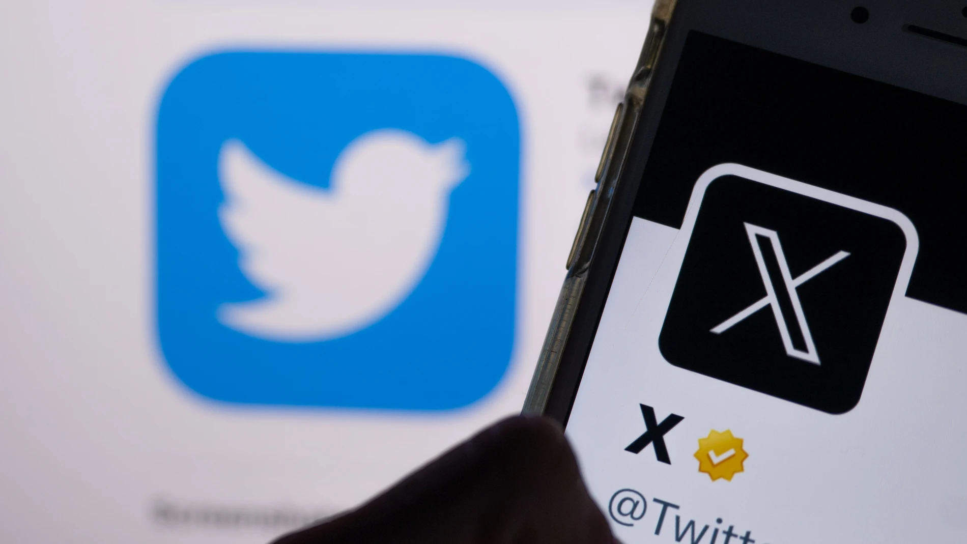X (Twitter) trabaja en un 'marketplace' para la compraventa de nombres de usuario inactivos, según Forbes
