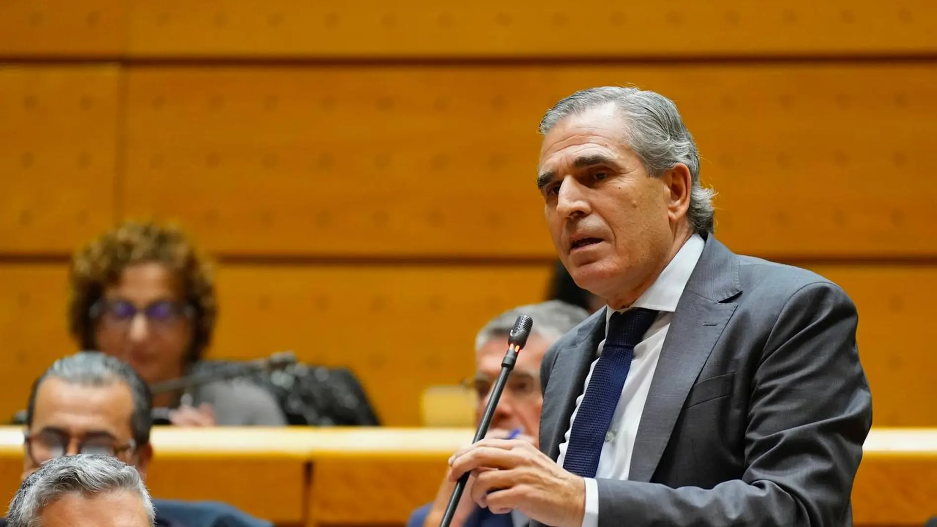 El senador del PP, Juan José Sanz Vitorio, durante su intervención en el Senado