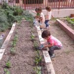 La red de huertos escolares de Murcia está formada por 75 centros