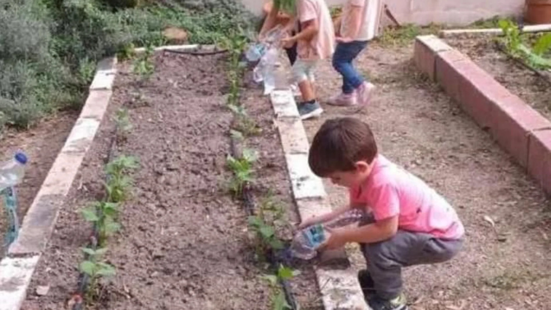 La red de huertos escolares de Murcia está formada por 75 centros