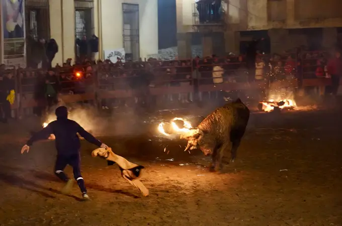 Medinaceli (Soria) celebra su Toro Jubilo