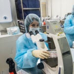 Investigación sobre el cáncer